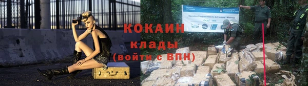 ГАЛЛЮЦИНОГЕННЫЕ ГРИБЫ Арсеньев