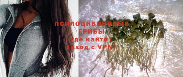 ГАЛЛЮЦИНОГЕННЫЕ ГРИБЫ Арсеньев